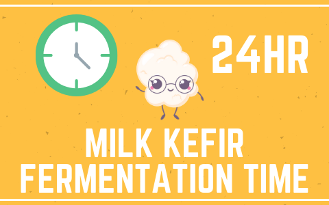 Milk kefir fermentation time is 24 hours