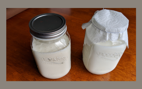 Lid or cloth to cover fermenting milk kefir