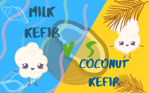 Milk kefir vs coconut kefir