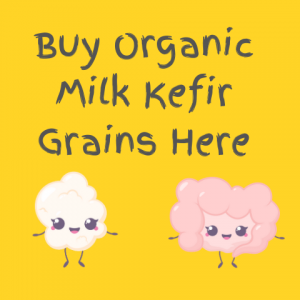 Buy Organic milk kefir grains here for homemade milk kefir