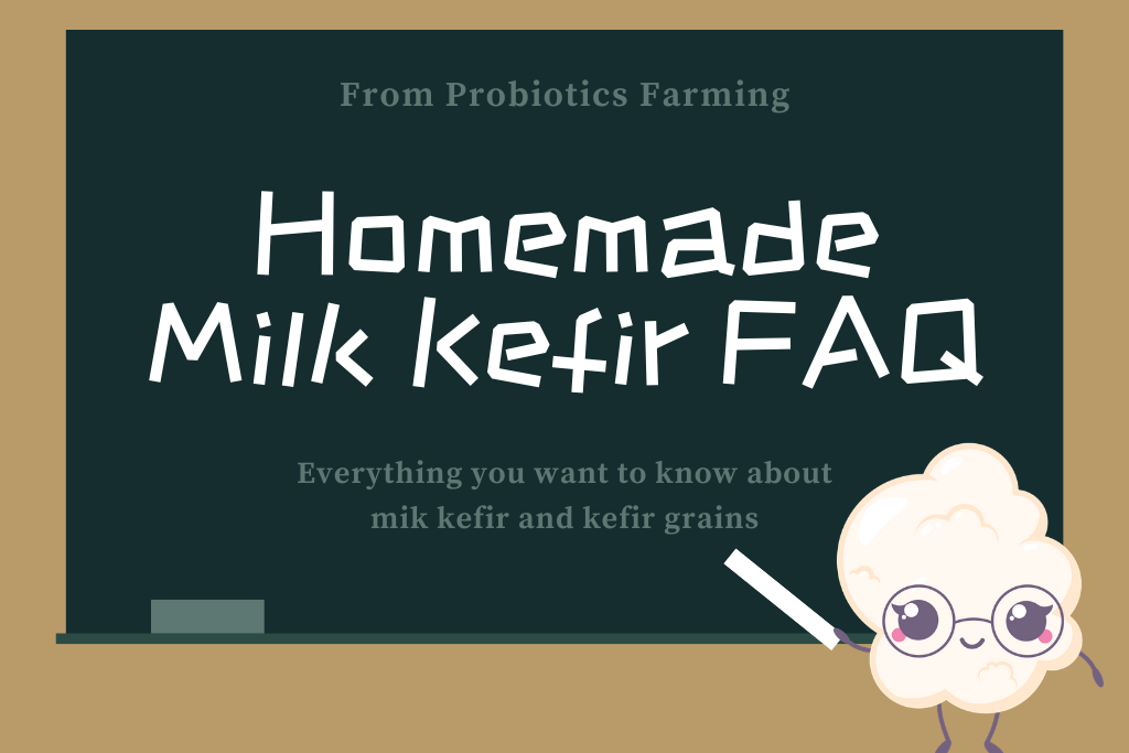 Homemade Milk Kefir FAQ Probiotics Farming For Healthy Life