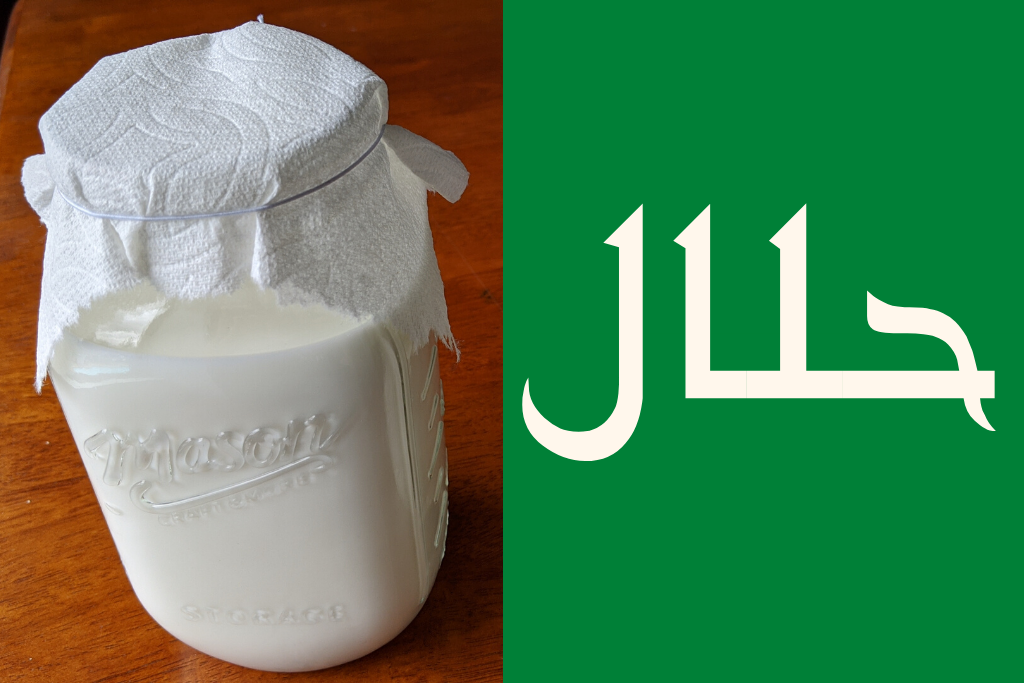 Milk Kefir is halal